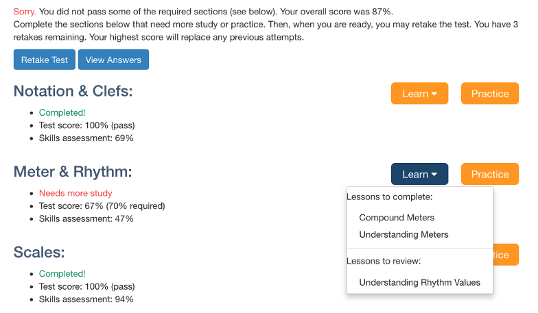 Image of test results and feedback from the student's perspective